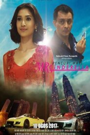 Pencuri Hati Mr Cinderella 2017 on netflix