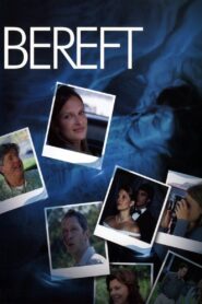 Bereft 2004 on netflix