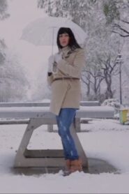 La Vie parisienne 2012 on netflix