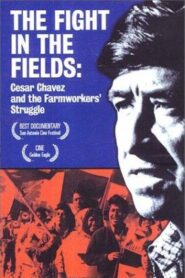The Fight In The Fields 1997 on netflix