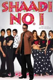 Shaadi No. 1 2005 on netflix