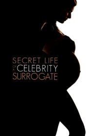 Secret Life of a Celebrity Surrogate 2020 on netflix