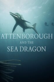Attenborough and the Sea Dragon 2018 on netflix