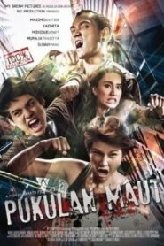 Pukulan Maut 2014 on netflix