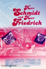Herr Schmidt und Herr Friedrich 2001 on netflix