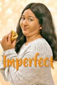 Imperfect 2019 on netflix