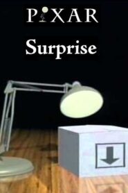 Surprise 1991 on netflix