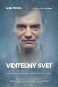 Visible World 2011 on netflix