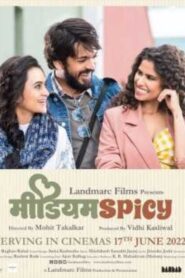 Medium Spicy 2022 on netflix