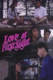 Love at First Sight 1990 on netflix