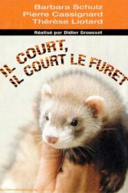 Il court, il court, le furet… 2003 on netflix