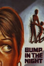 Bump in the Night 1991 on netflix