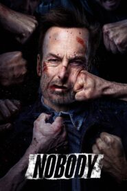 Nobody 2021 on netflix