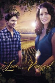 Love in the Vineyard 2016 on netflix