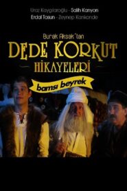 Dede Korkut Hikayeleri: Bamsı Beyrek 2017 on netflix