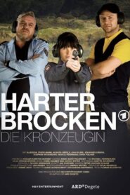 Harter Brocken: Die Kronzeugin 2017 on netflix