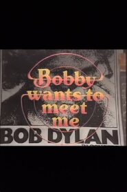 Bobby Wants to Meet Me 1981 on netflix