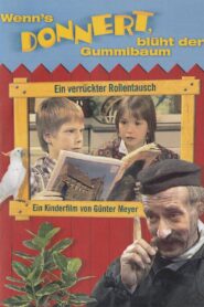 Wenn’s donnert, blüht der Gummibaum 1982 on netflix