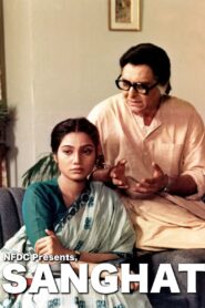 Sanghat 1996 on netflix