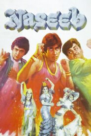 Naseeb 1981 on netflix