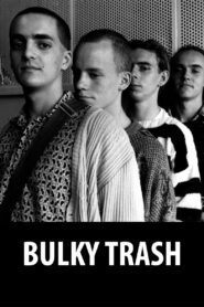 Bulky Trash 1991 on netflix