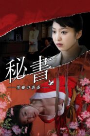 Passions of a Private Secretary 2008 on netflix