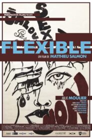 Flexible 2018 on netflix