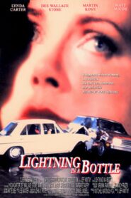 Lightning in a Bottle 1993 on netflix