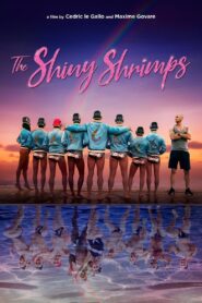 The Shiny Shrimps 2019 on netflix