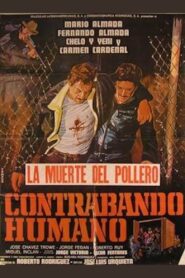 Contrabando Humano 1982 on netflix