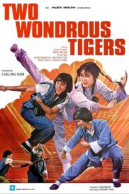 Two Wondrous Tigers 1980 on netflix