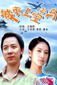 Bird in the Air 2008 on netflix