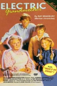 The Electric Grandmother 1982 on netflix