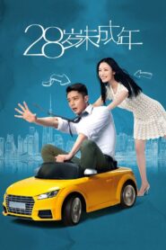 Suddenly Seventeen 2016 on netflix