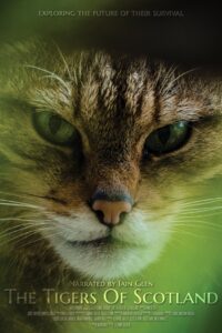 The Tigers of Scotland 2017 on netflix