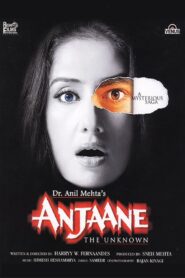Anjaane: The Unkown 2005 on netflix