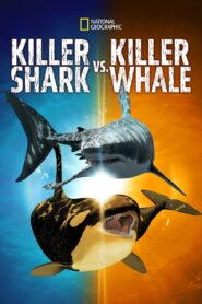Killer Shark Vs. Killer Whale 2021 on netflix