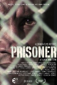 Prisoner 2017 on netflix
