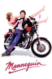 Mannequin 1987 on netflix