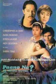 Paano Na? Sa Mundo ni Janet 1994 on netflix