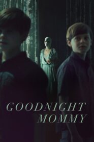 Goodnight Mommy 2022 on netflix