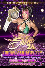 SHINE 24 2015 on netflix