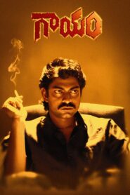 Gaayam 1993 on netflix
