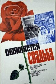 The Wedding Is Accused 1986 on netflix