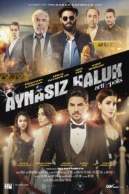 Aynasız Haluk 2022 on netflix