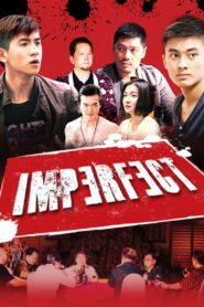 Imperfect 2012 on netflix