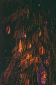 Glare 1981 on netflix
