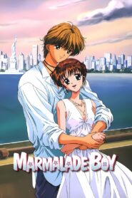 Marmalade Boy 1995 on netflix