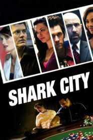 Shark City 2009 on netflix