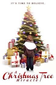 A Christmas Tree Miracle 2013 on netflix